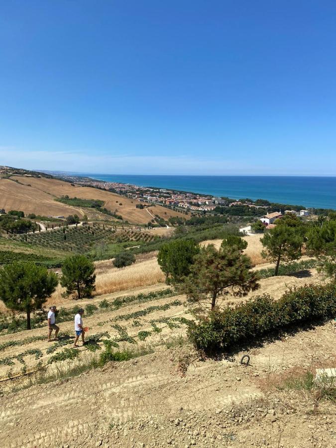 Casale Adriatico B&B Pineto Bagian luar foto